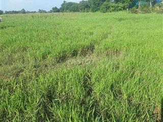 bán đất nông nghiệp