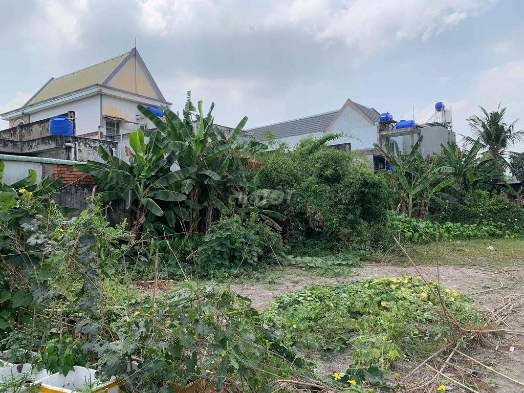 Chính chủ cần bán: 1315m đất ngay TT Đức Hoà Long An