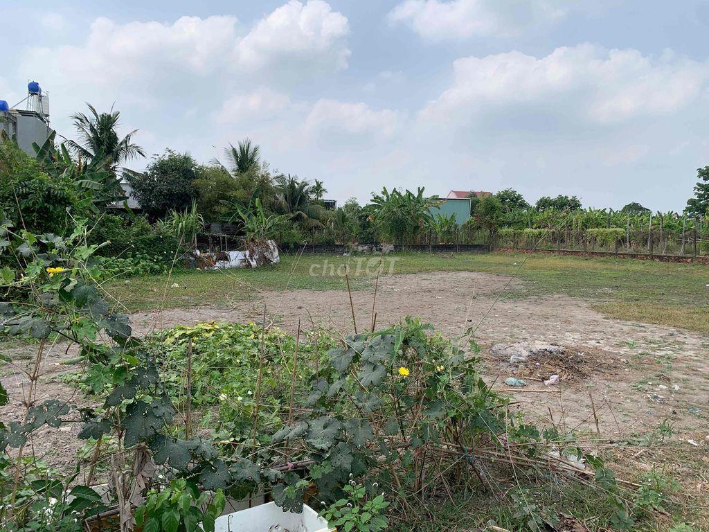 Chính chủ cần bán: 1315m đất ngay TT Đức Hoà Long An