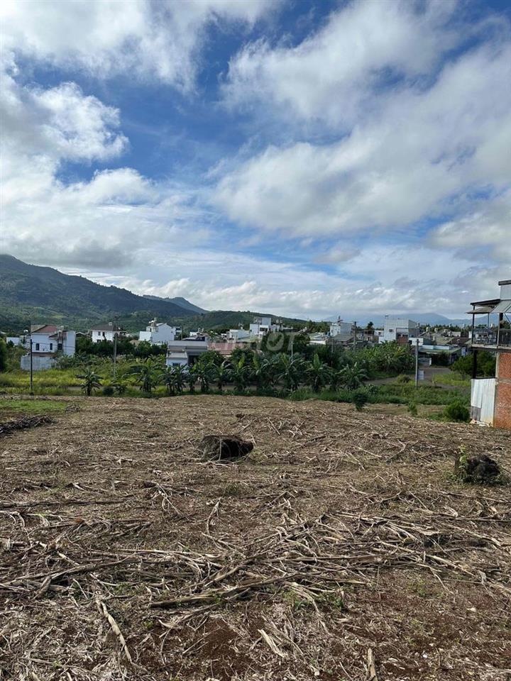 Chính chủ cần bán đất