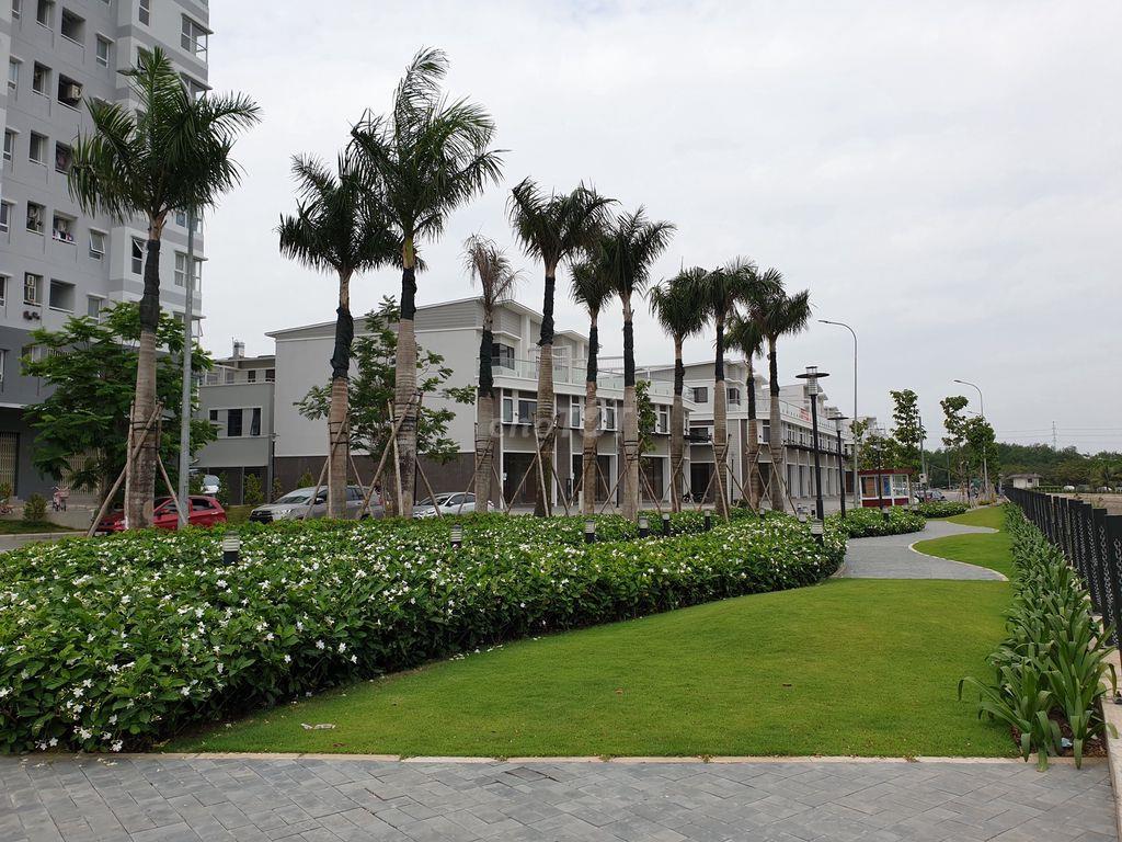 CHDV đẹp Mizuki Park, cao cấp, giáp Q7,5,8, Tr. Sơn. Có xạc xe điện