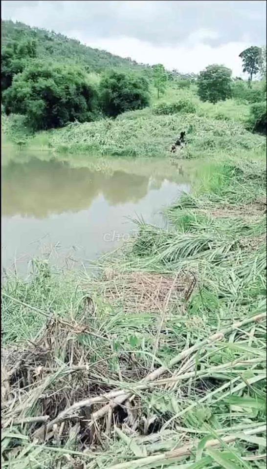 Đất rẫy Đăk Lắk