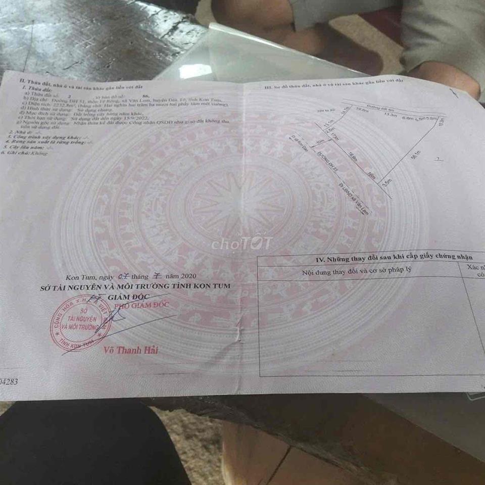 Bán đất trồng cây lâu năm
