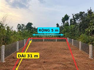 Đất Nền Quảng Thành, Chính Chủ