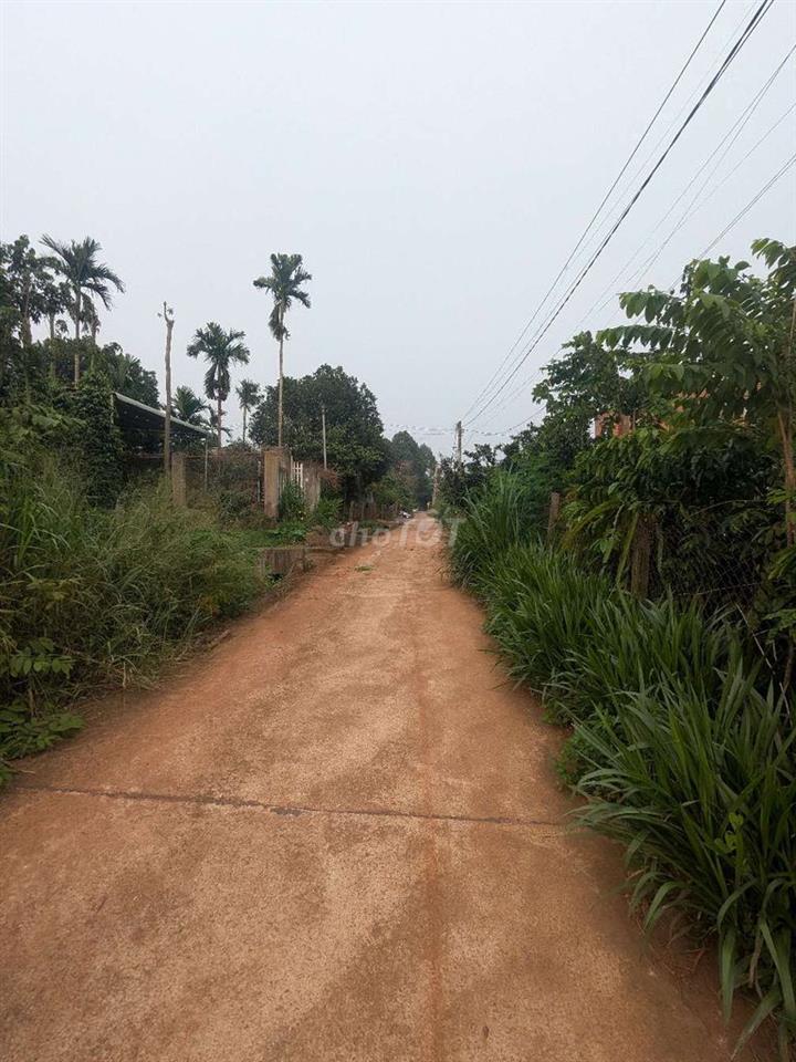 Đất Nền Quảng Thành, Chính Chủ