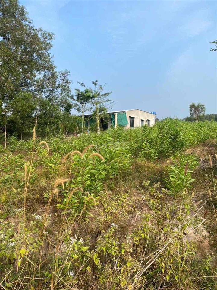 Chính chủ cần bán đất Bàu Lâm