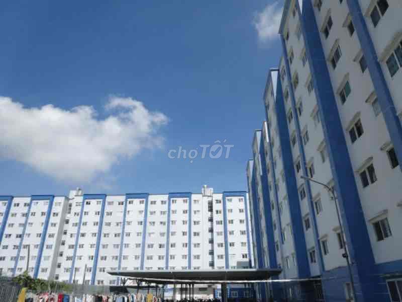 Căn hộ Bluhouse