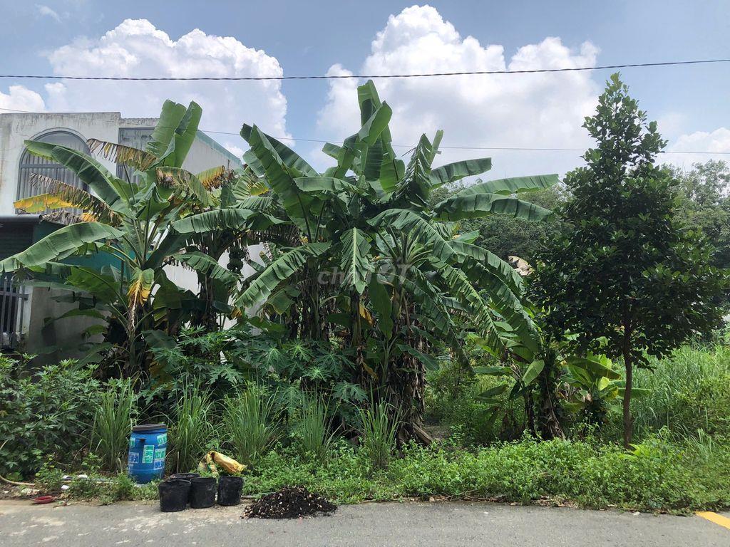 💥 CHÍNH CHỦ CẦN BÁN GẤP - GIẢM HƠN 100 TRIỆU - ĐẤT HÒA LỢI 5x21m 💥