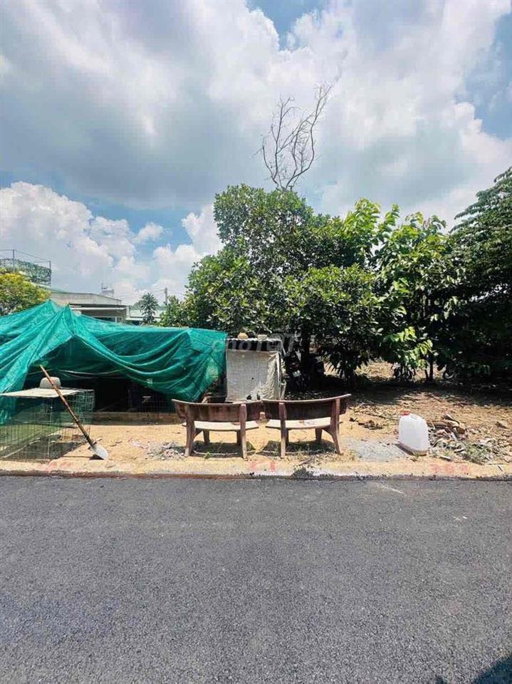 bán đất phường Hiệp Hòa giá 3 tỷ 3