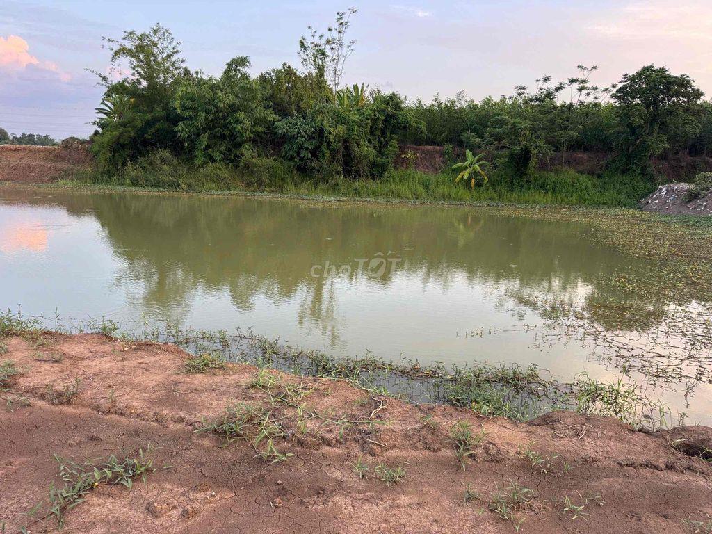 đất vườn. ao suối