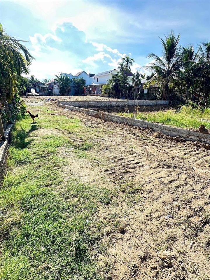 730m² Đất Ở 100% – Triêm Trung, Điện Bàn – Sổ Riêng