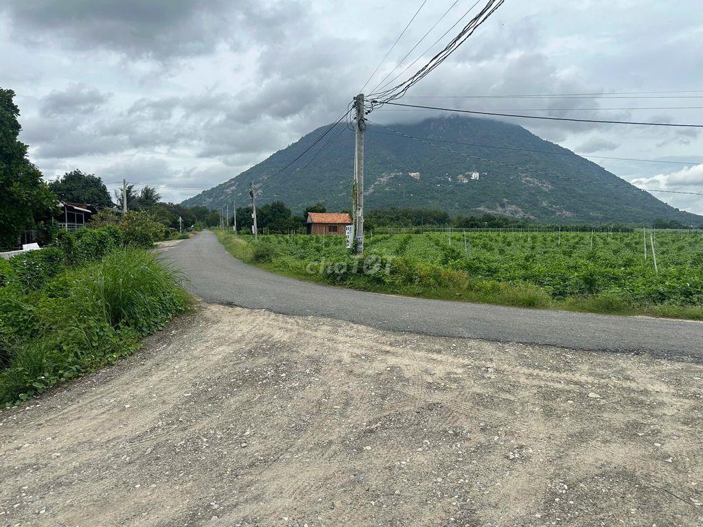 Đất ngộp giá rẻ