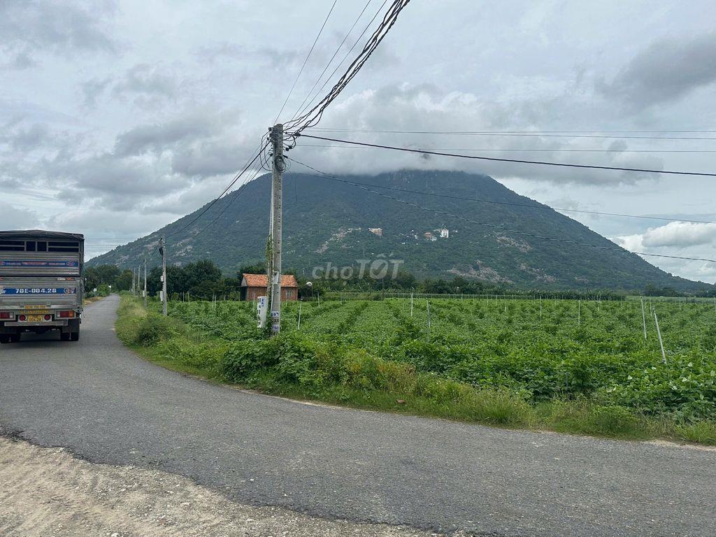 Đất ngộp giá rẻ