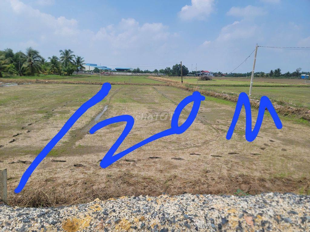 Cho thuê đất dài, ngắn hạng