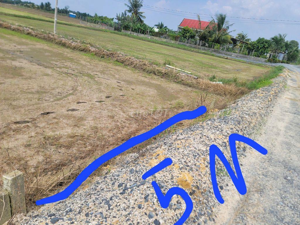 Cho thuê đất dài, ngắn hạng