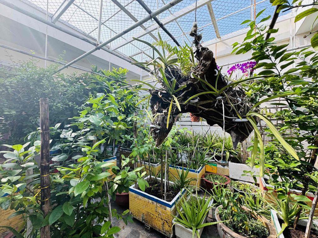 Nhà 4Tầng Hẻm Oto Tránh Nhau Trung Tâm
