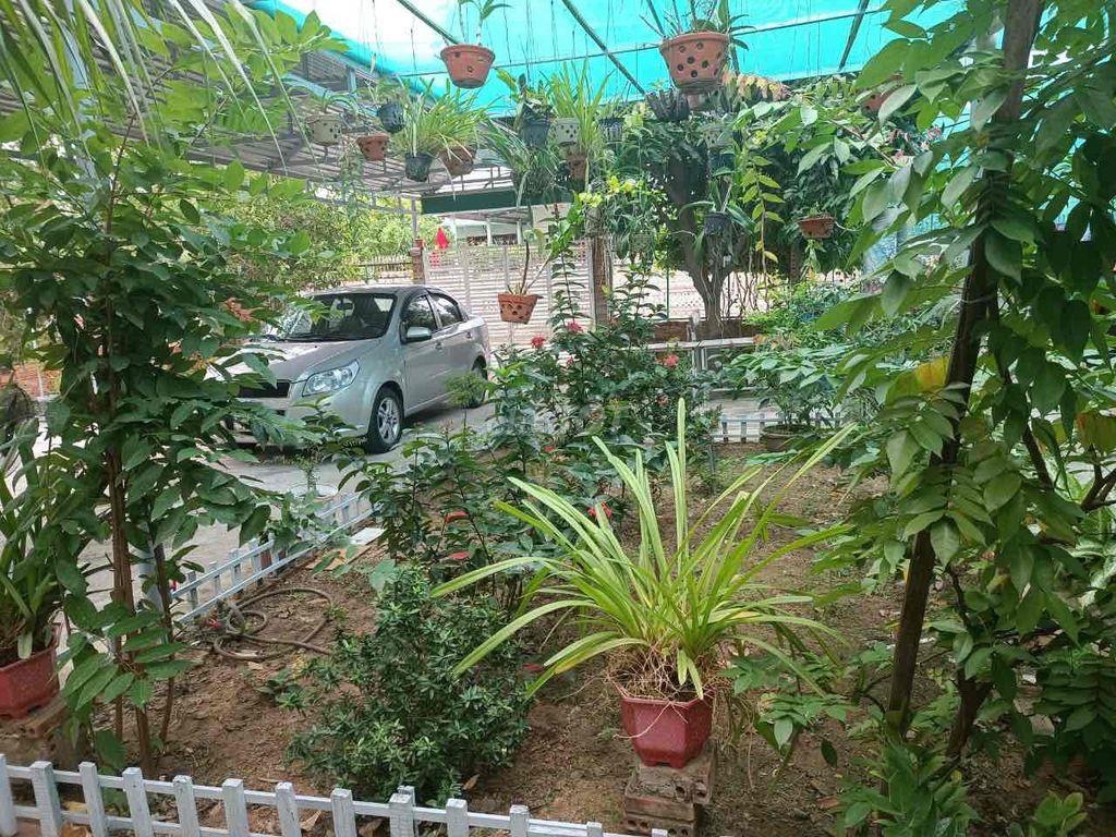 Homstay sân vườn có nhà trọ phòng trọ. Phòng ở có nội thất