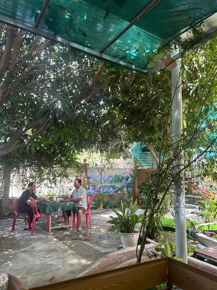 Homstay sân vườn có nhà trọ phòng trọ. Phòng ở có nội thất