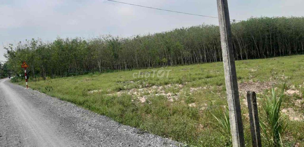Bán đất chính chủ