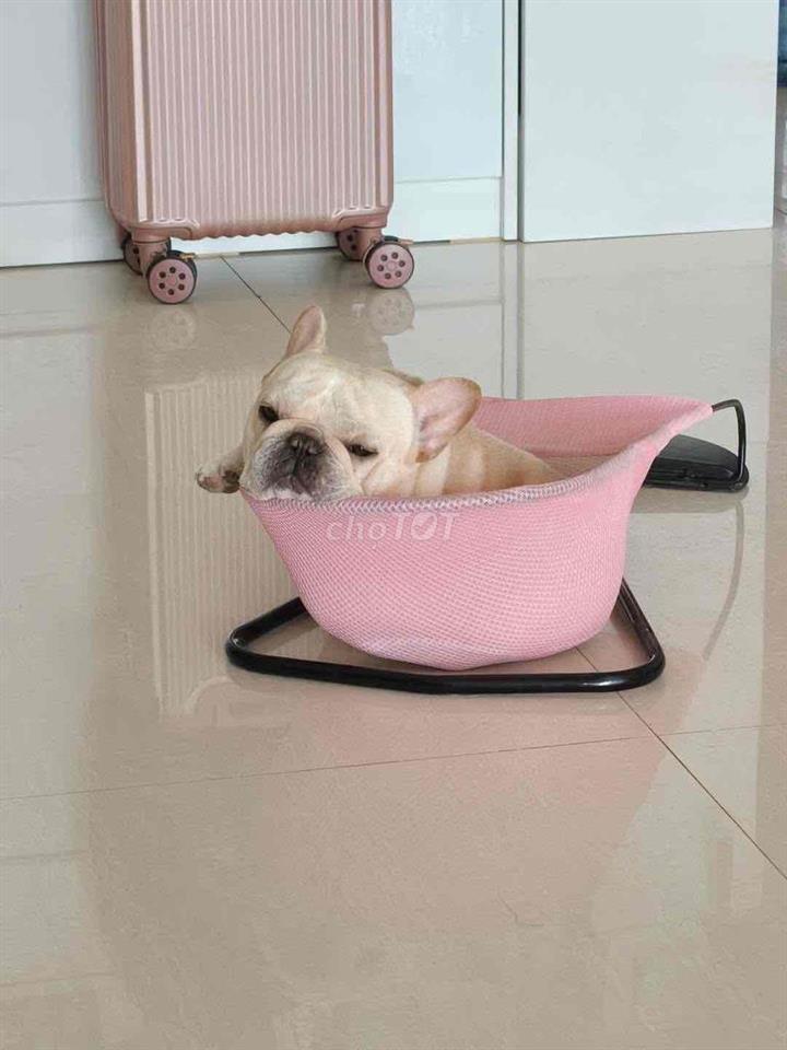 Cho thuê phòng trọ khu vực ngọc hà, ba đình