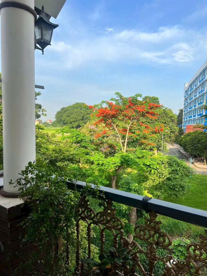 nhà chính chủ 