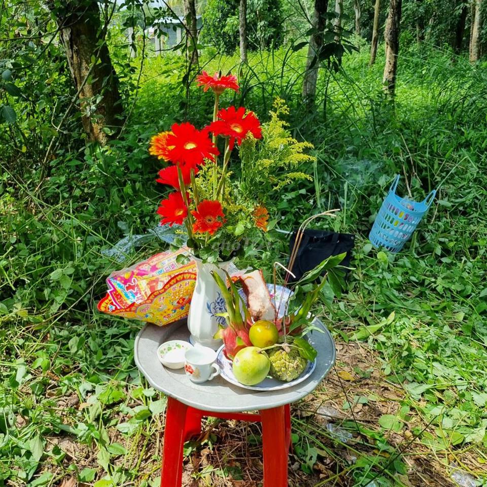 CHO THUÊ ĐẤT