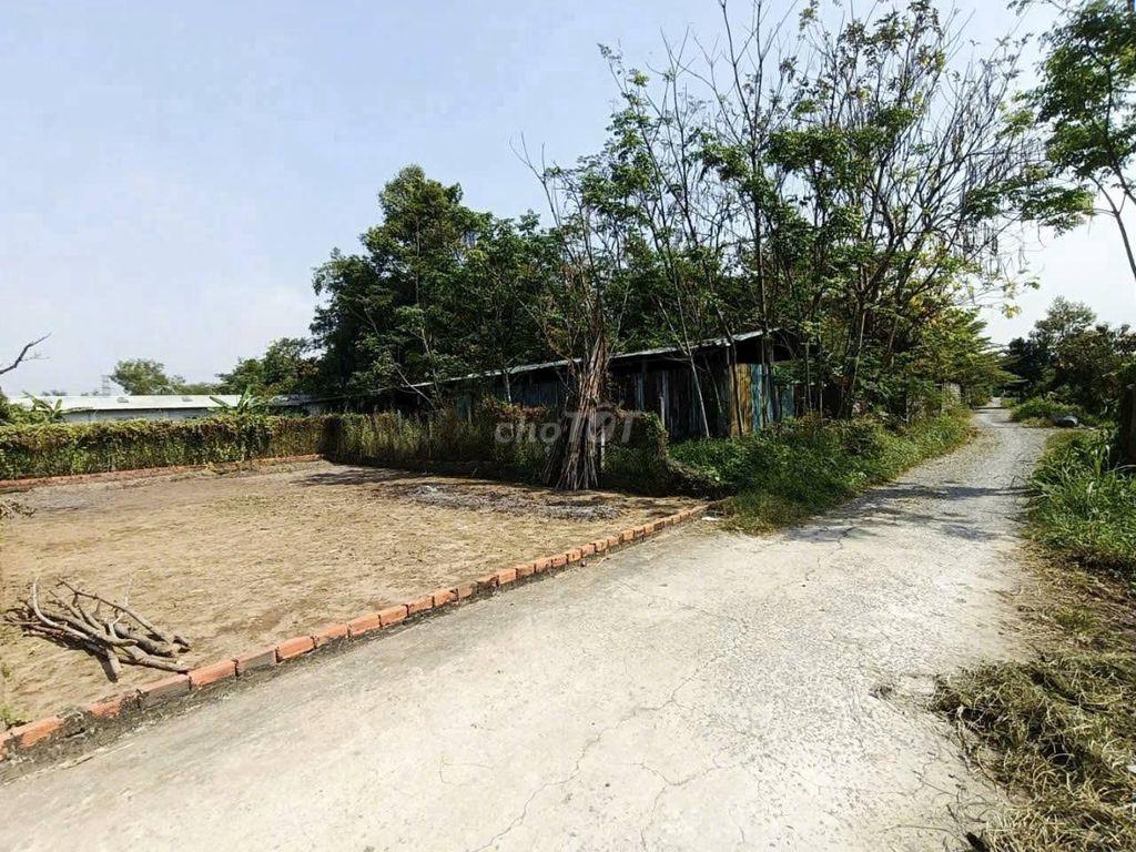 BÁN ĐẤT 1/ NGUYỄN THỊ LẮNG,CỦ CHI–GẦN KDC TÂN PHÚ TRUNG-137,3M2-415TR