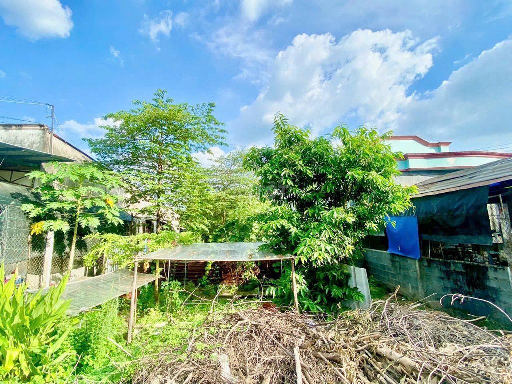 BÁN GẤP ĐẤT MT NGUYỄN THỊ RƯ–THỊ TRẤN CỦ CHI–470M2–650 TRIỆU (CÒN TL)