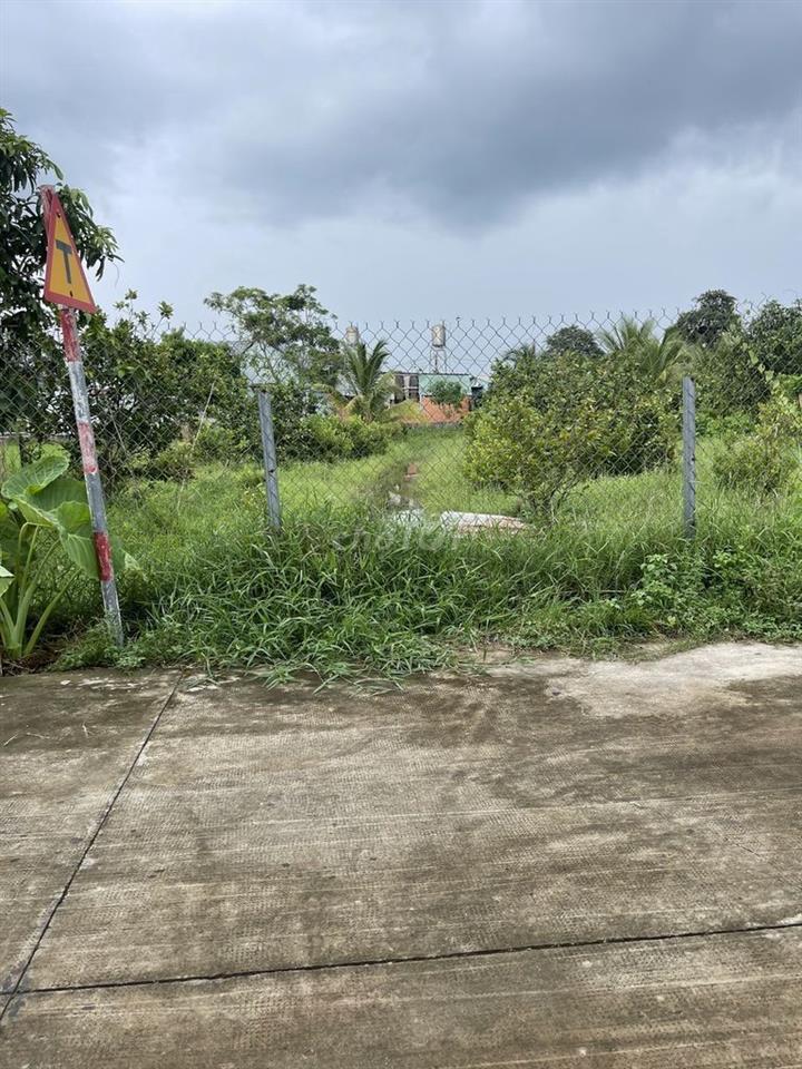 Bán đất kèm vườn trái cây ( có thương lượng )
