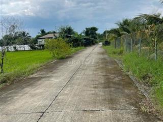 Bán đất kèm vườn trái cây ( có thương lượng )