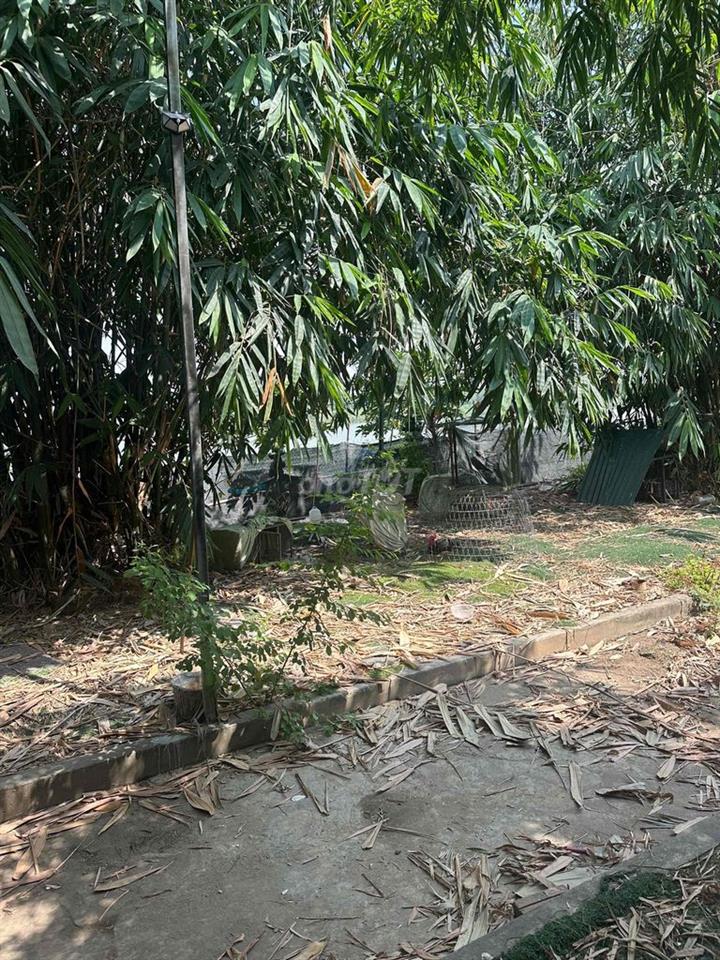 cho thuê đất làm kho hoặc tập kết hàng