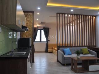 Cho thuê căn hộ 45m2 Sơn Trà