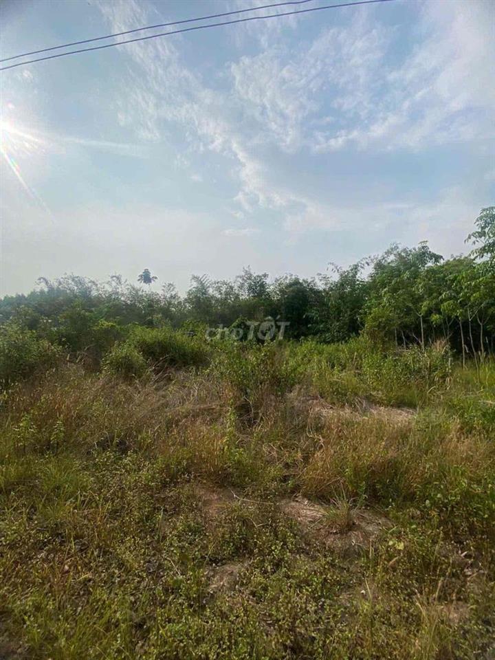 cần bán đất vườn
