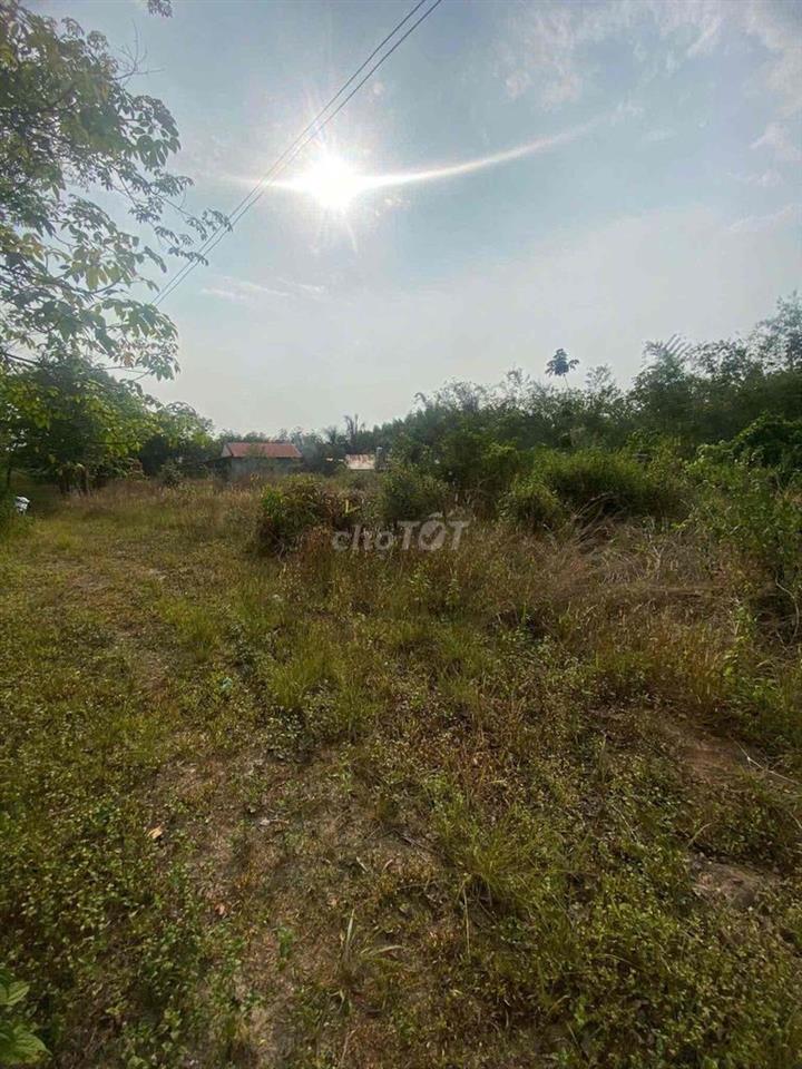 cần bán đất vườn