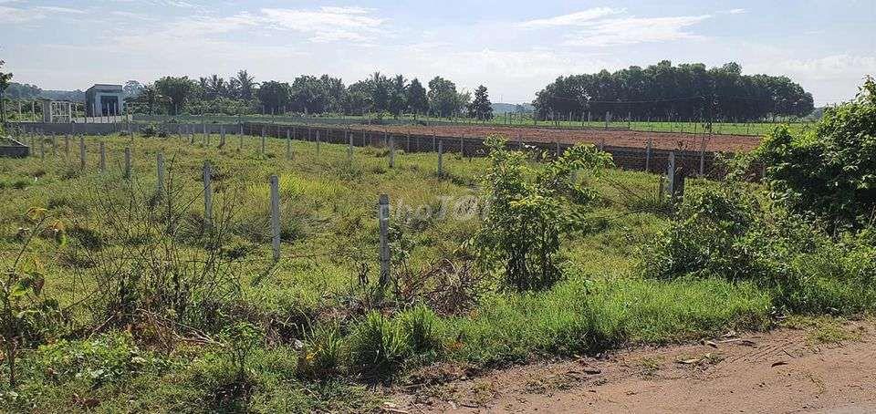 Bán đất 232m2 Đ. Nguyễn Văn Khạ, Tân An Hội Củ Chi, SHR, Giá 780 triệu
