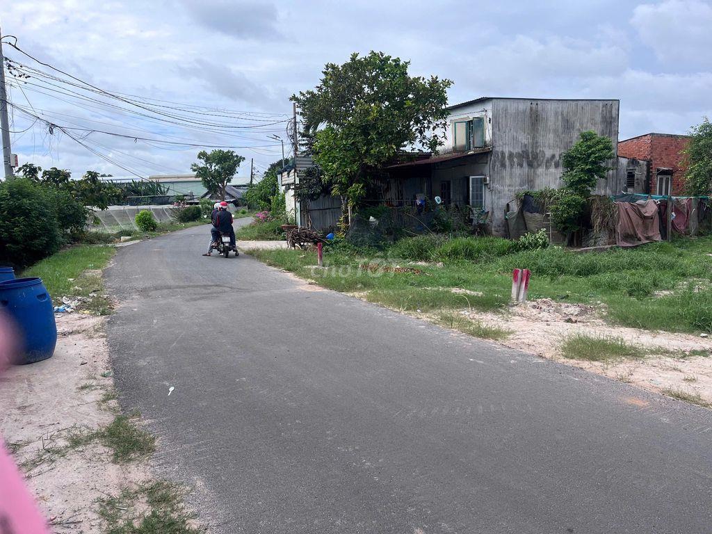 Bán Đất 188m2 Đ. Liêu Bình Hương, Tân Thông Hội, SHR, Giá 700 triệu.