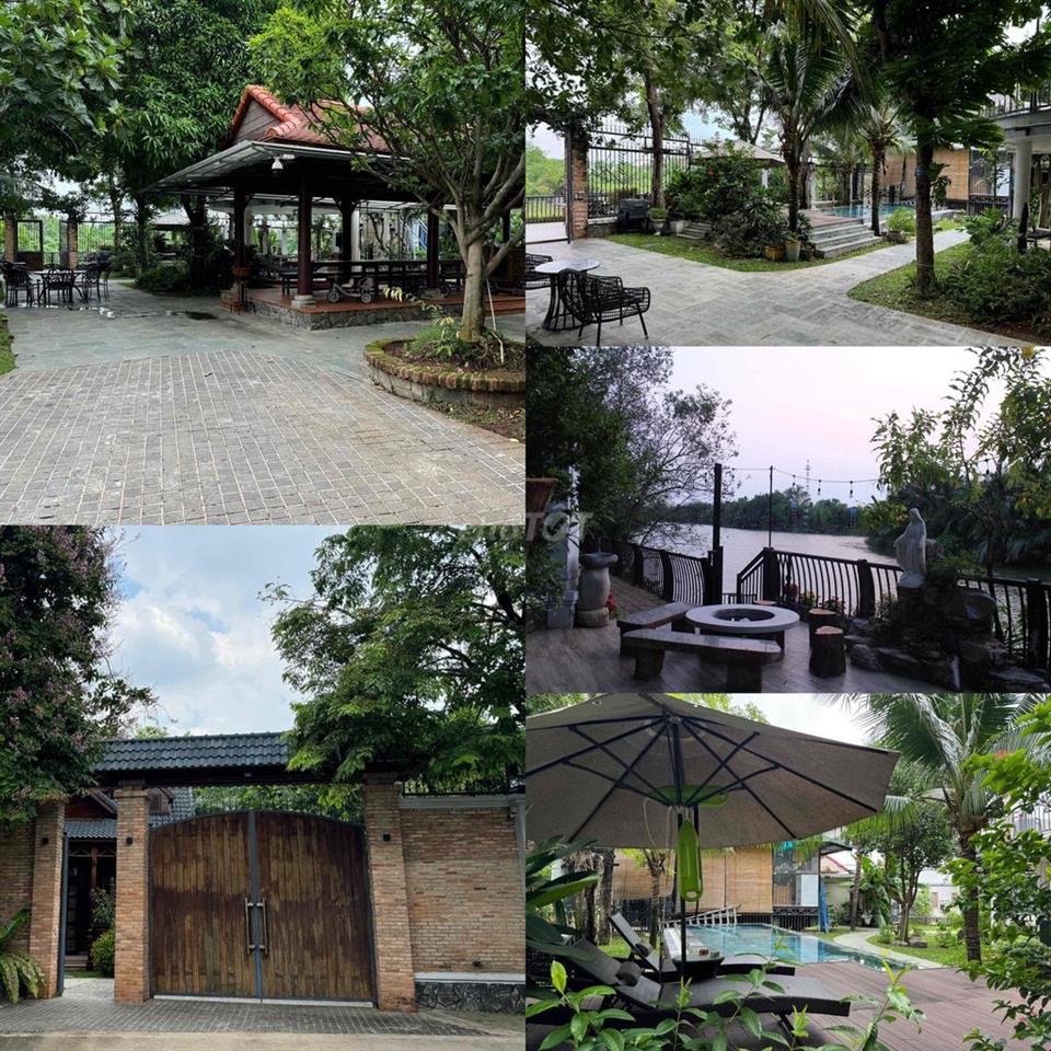 Cho thuê villa