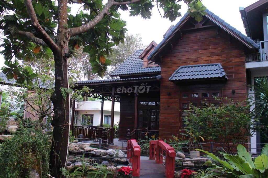 Cho thuê villa