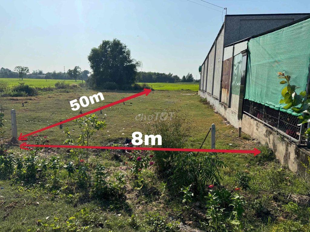 BÁN ĐẤT 429,3M² FULL THỔ CƯ – MẶT TIỀN NHỰA AN THUẬN 9M – HIỆP HÒA, TÂ