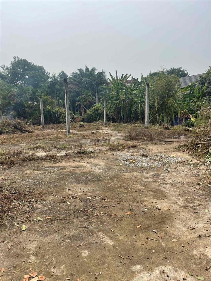 BÁN ĐẤT CỦ ĐẤT