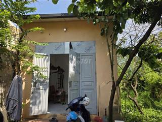 cho thuê nhà nguyên căn đức thượng, cho thuê phòng trọ