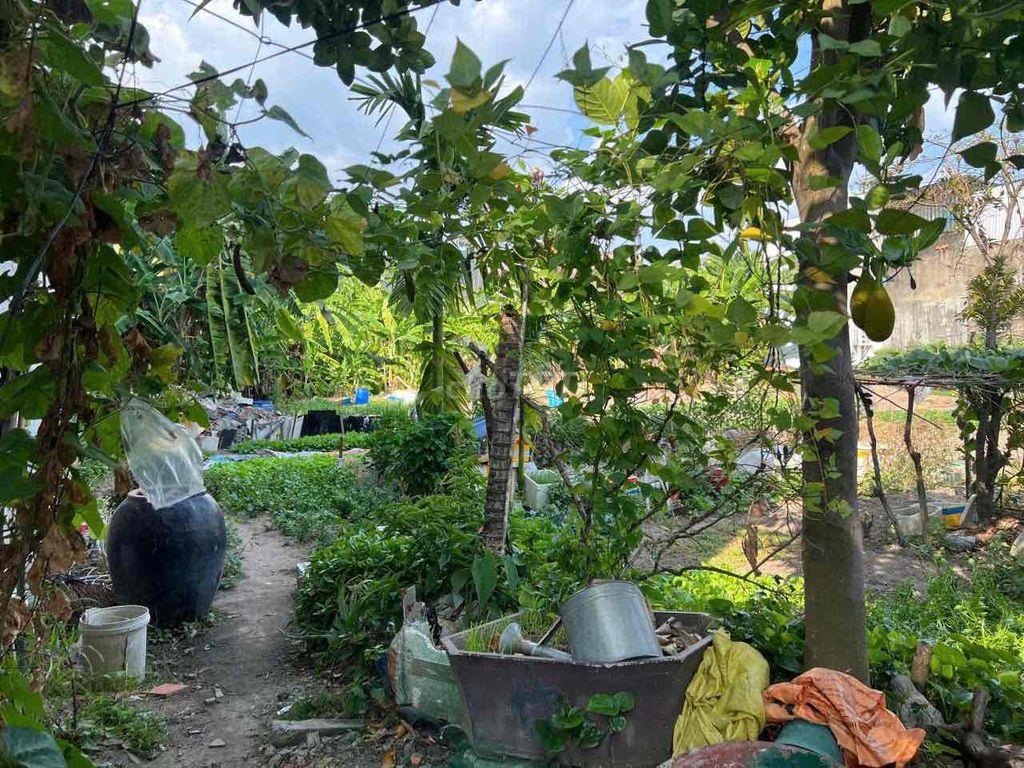 Đất cần bán