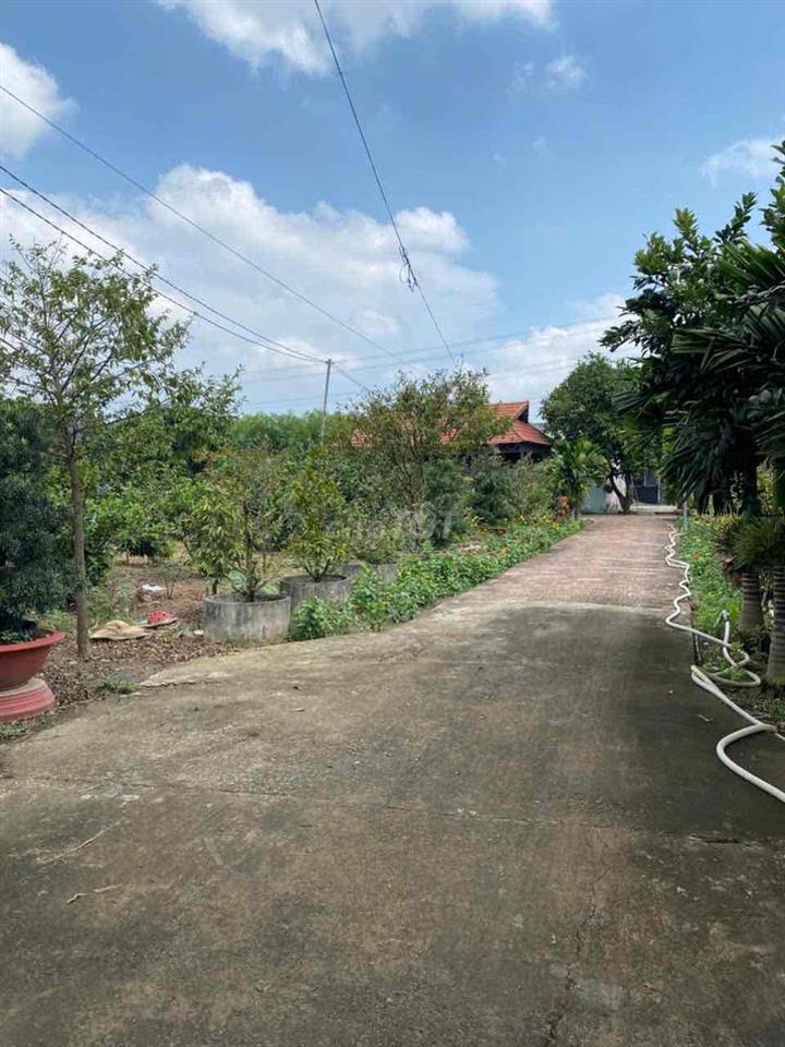 Diện tích 9.747m², khuôn viên rộng, thửa đất có nhiều mặt thoáng, phù