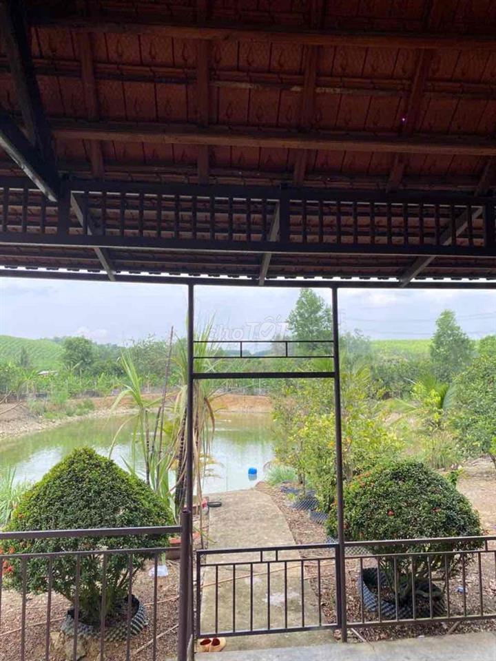 Diện tích 9.747m², khuôn viên rộng, thửa đất có nhiều mặt thoáng, phù