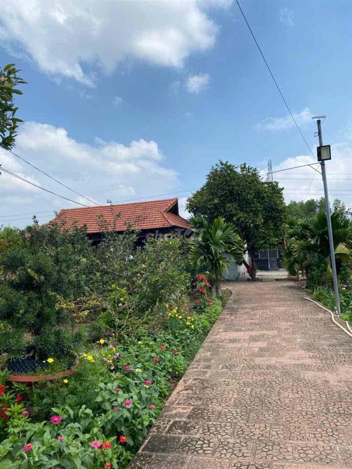 Diện tích 9.747m², khuôn viên rộng, thửa đất có nhiều mặt thoáng, phù
