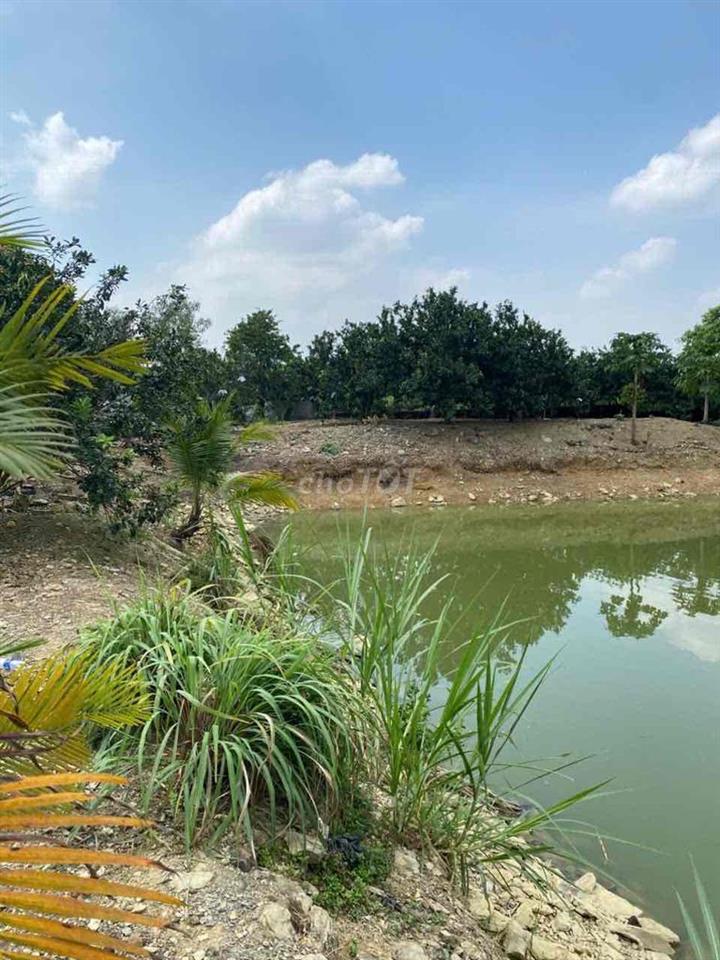 Diện tích 9.747m², khuôn viên rộng, thửa đất có nhiều mặt thoáng, phù