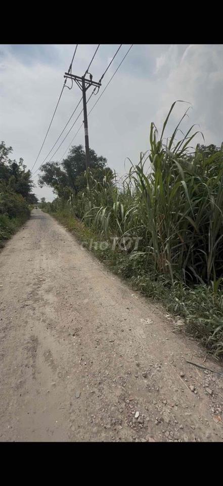 bán đất