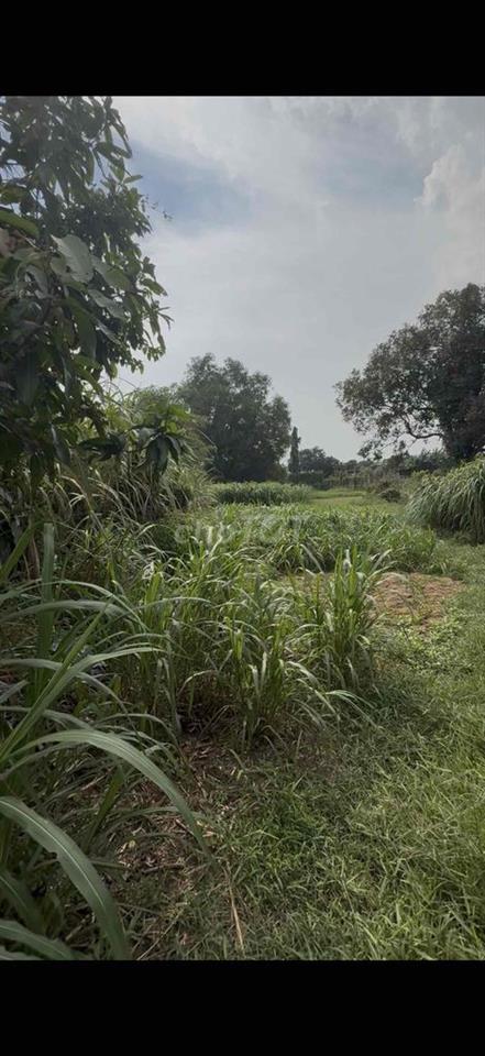 bán đất