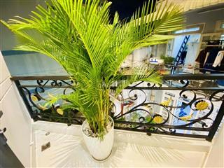 bán nhà nhỉnh 3 tỷ 40m2 gần công viên làng hoa Gò Vấp