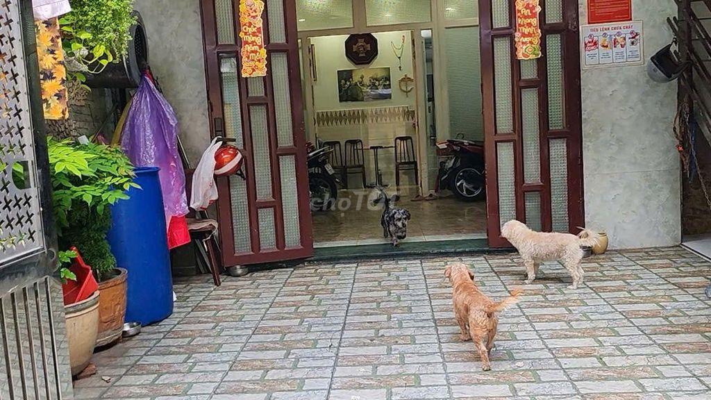 Bán nhà HXH đường Nguyễn Thái Sơn, phường Hạnh Thông - TP.HCM